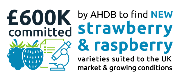 by AHDB to find NEW. committed Strawberry.