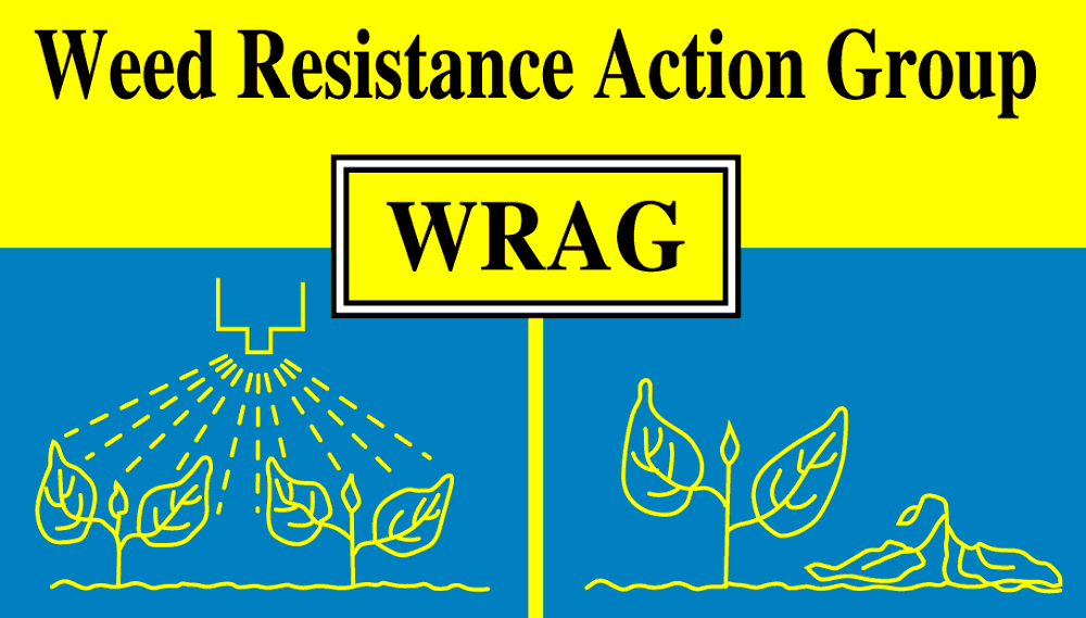 The Weed Resistance Action Group (WRAG) | AHDB
