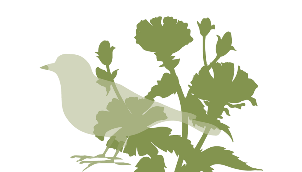 How to encourage natural enemies of field crop pests | AHDB
