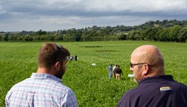 Strategic Potato Farms | AHDB