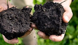 Soils and substrates