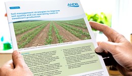 Soil management strategies to improve soil quality and cut operating costs in sweetcorn production