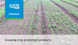 Growing crop protection products