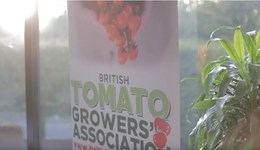 Virus recommendations and legislation for tomato brown rugose fruit virus