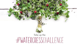 Case study: #WatercressChallenge 