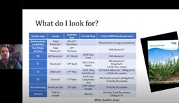 Webinar: How to monitor crop development and disease