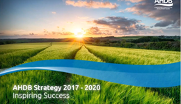 Webinar: Beef & Lamb sector update - Activity the year ahead