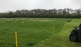 Webinar: Getting the most out of your permanent pasture