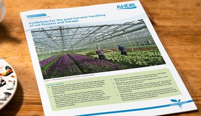 Guidelines for the post-harvest handling of cut flowers and foliage