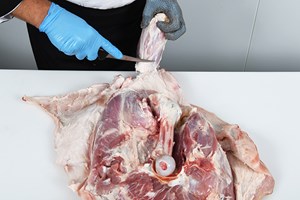 Meat Cut Spec Step 5