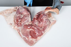 Meat Cut Spec Step 11