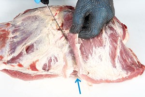 Meat Cut Spec Step 2