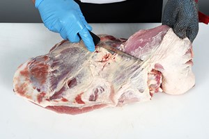 Meat Cut Spec Step 4