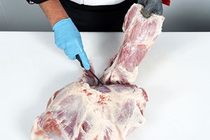 Meat Cut Spec Step 5