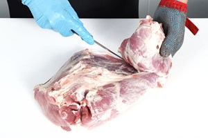 Meat Cut Spec Step 5