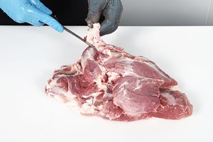 Meat Cut Spec Step 12