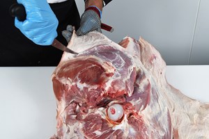 Meat Cut Spec Step 3