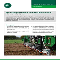 Spot spraying weeds in horticultural crops | AHDB