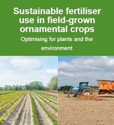 Sustainable fertiliser use in field-grown ornamental crops guide | AHDB